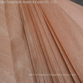 natural wood in Gabon 0.25mm A/B/C/D grade okoume veneers for laminated plywood